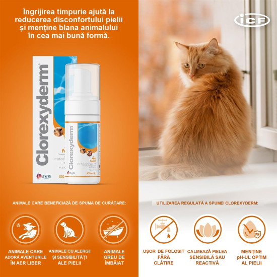 Spumă Antiseptică pentru Câini și Pisici Clorexyderm , 100 ml – ICF